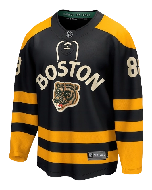 альтернативное джерси Давида Пастрняка Boston Bruins 2023 Winter Classic, вид сзади